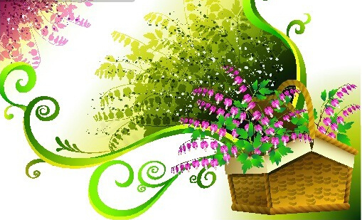 唯美花卉