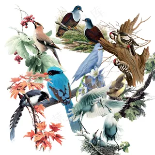 古风唯美小鸟元素