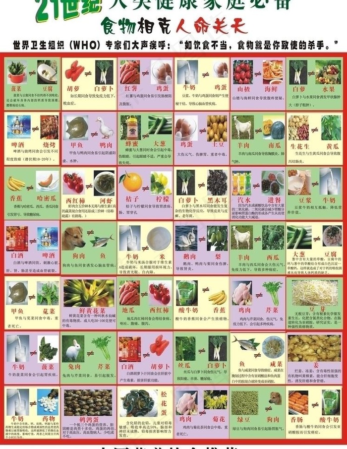 21世纪食物相克图片cdr矢量模版下载