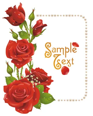 老式的玫瑰珍珠框架向量卡02