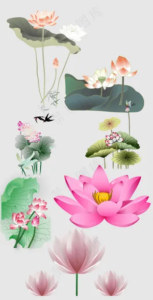 荷叶荷花中国风元素 荷叶荷花中国风元素