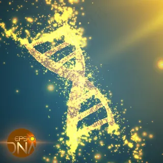 绿色背景矢量图