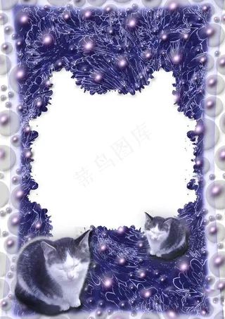 紫色猫咪相框图片