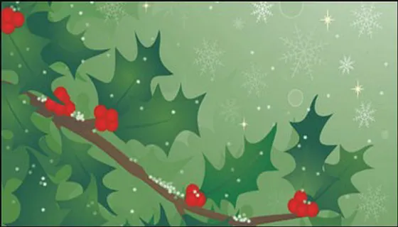 冬青树矢量素材