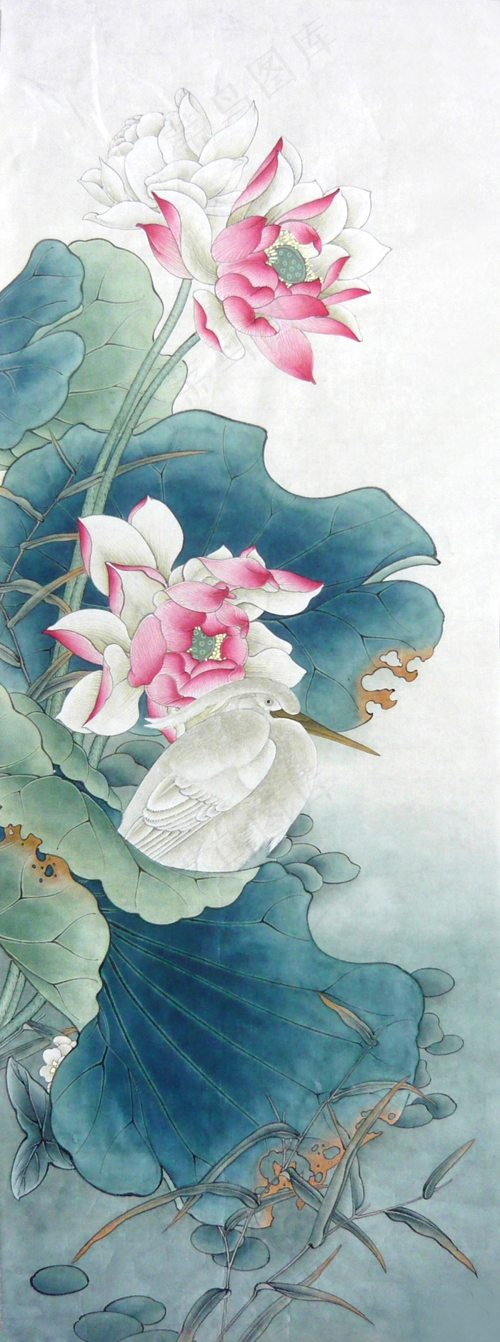 荷花 工笔 国画