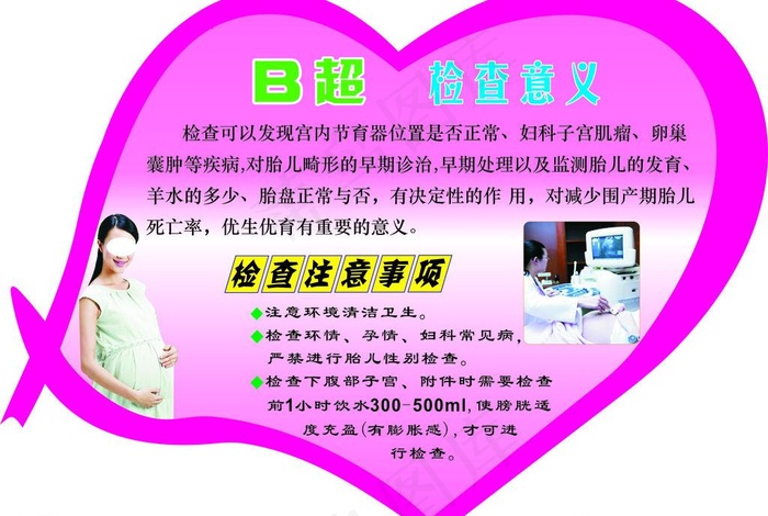 b超检查意义图片cdr矢量模版下载