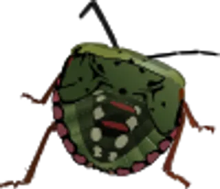 臭虫的艺术剪辑