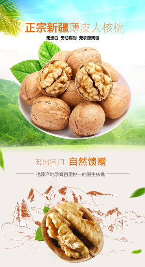 淘宝天猫新疆薄皮大核桃详情页