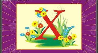 x字母与动物图片