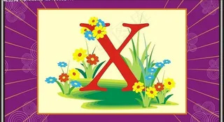 x字母与动物图片