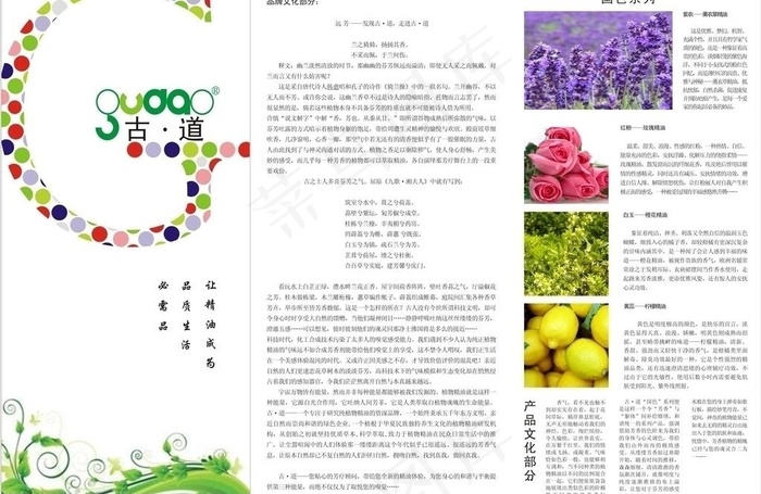 古道精油广告三折页图片cdr矢量模版下载