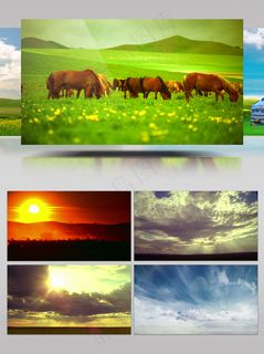 草原美景唯美草原动态视频背景