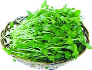 青菜图片素材下载