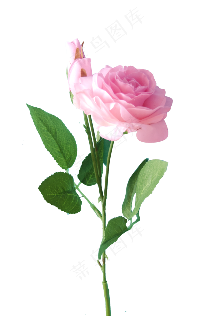 植物植被绿植仿真花花束月季植物植被绿植仿真花花束月季