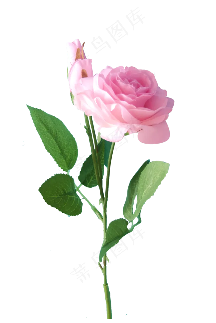 植物植被绿植仿真花花束月季植物植被绿植仿真花花束月季