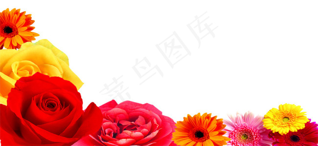 鲜花边框psd模版下载