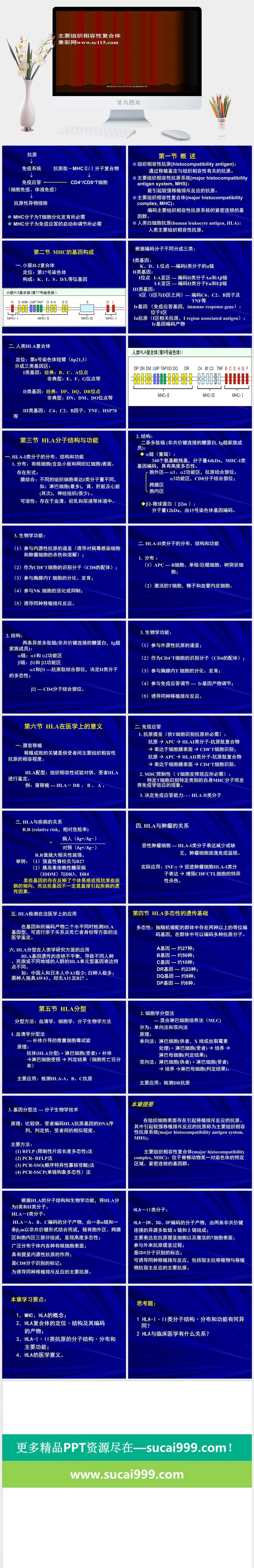 临床医学研究PPT模板
