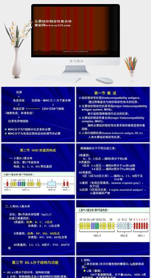 临床医学研究PPT模板预览图