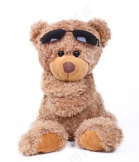 泰迪熊图片