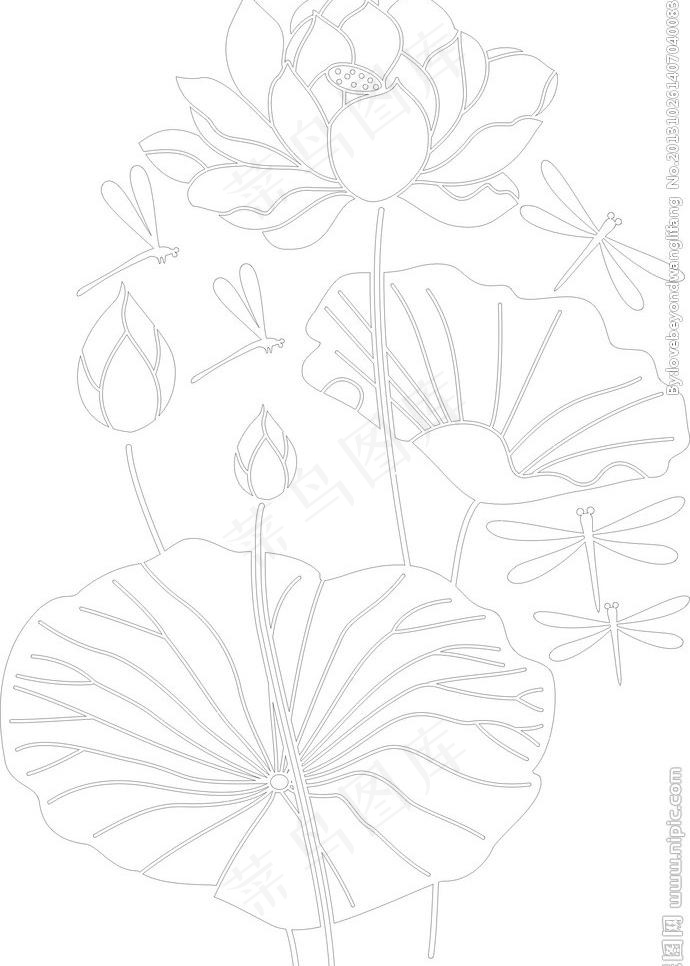 矢量荷花图片