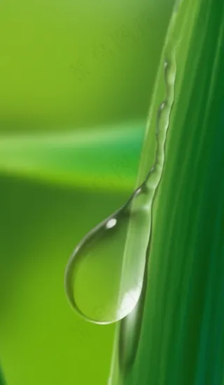 高清水滴psd素材