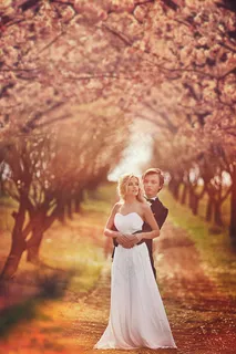 草地上的情侣图片