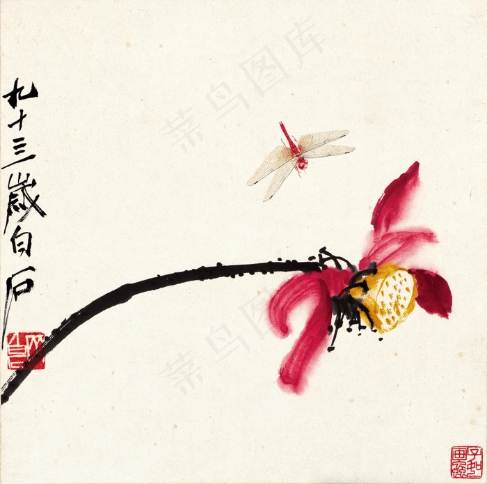 荷花蜻蜓图