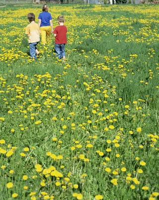 草地上的儿童图片