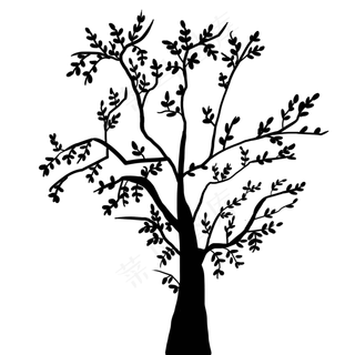 黑白树枝树木黑白树枝树木