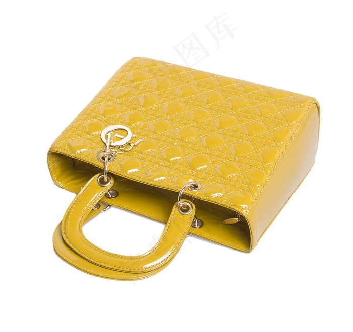 戴妃女包七色图片