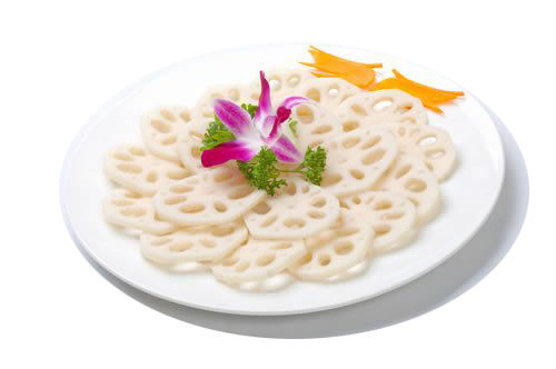 莲藕蔬菜海报PNG素材集合
