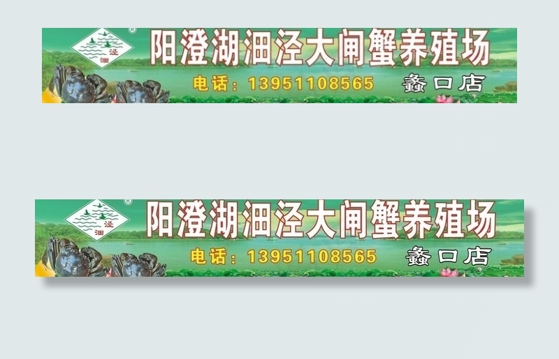 阳澄湖大闸蟹图片(10000X45720)cdr矢量模版下载