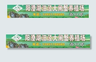 阳澄湖大闸蟹图片