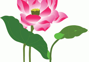 美丽的荷花ai矢量图