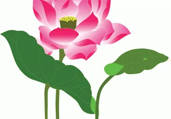美丽的荷花ai矢量图