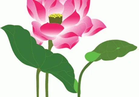 美丽的荷花ai矢量图 美丽的荷花ai矢量图