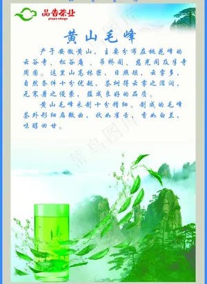 品普茶业 黄山毛峰图片