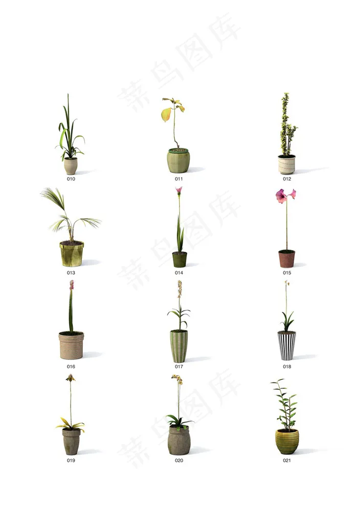 室内盆栽植物模型