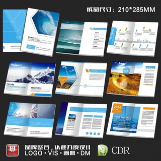 高档创意企业画册设计