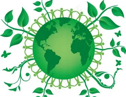 大树树木背景图片