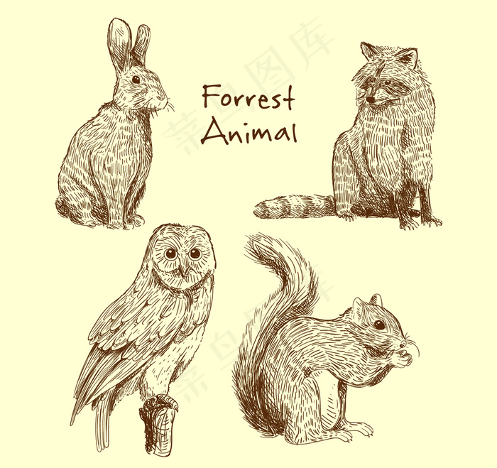 动物素描素材猫头鹰老鼠松鼠狼