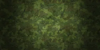 军绿背景