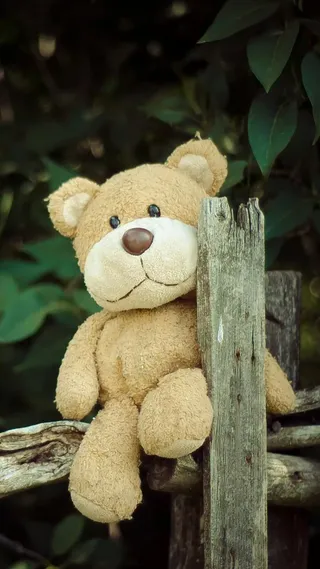 小熊公仔高清摄影图片