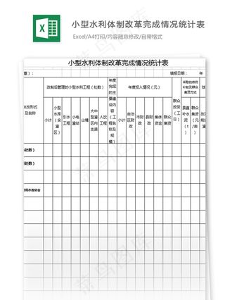 小型水利*改革完成情况统计表格