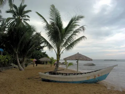 沙滩图片 沙滩图片