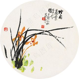 兰花图片