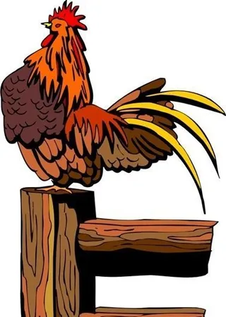 家禽家畜 动物 矢量素材 EPS格...