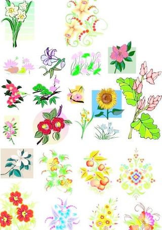 各种矢量花