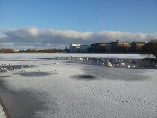 冬日的天鹅湖图片