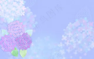 紫藤花背景图